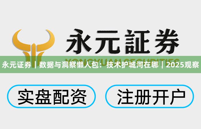 永元证券｜数据与洞察懒人包：技术护城河在哪｜2025观察