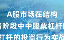 A股市场在结构性行情阶段中中股票杠杆的投资行为实战经验